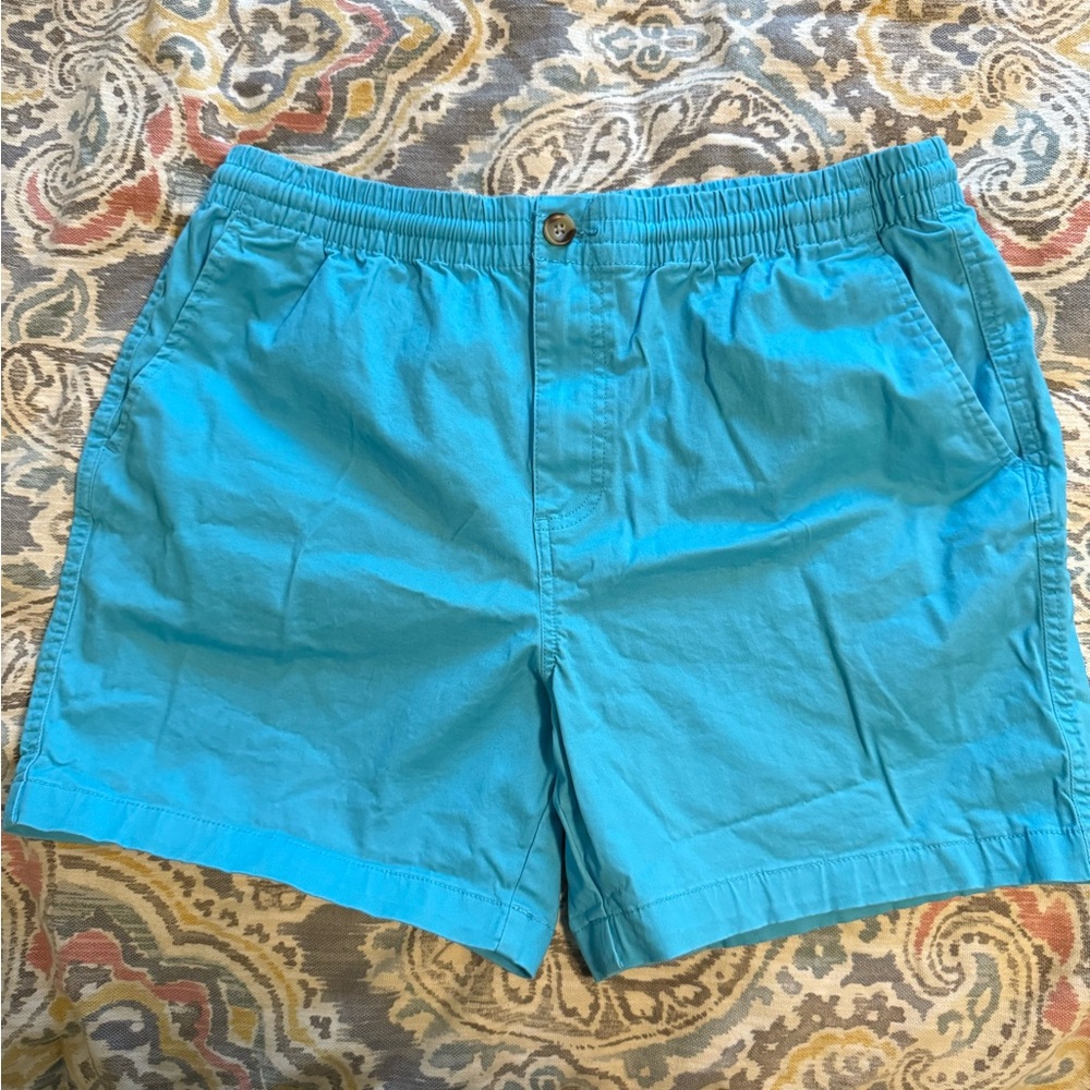 Crown & Ivy Men’s Aqua Blue Shorts